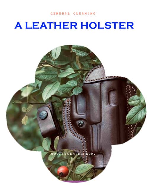 a Leather Holster